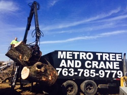 Tree Service