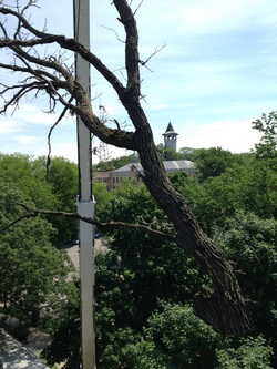 Metro Tree and Crane truck