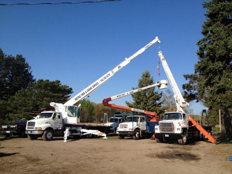 Tree Care Service Example