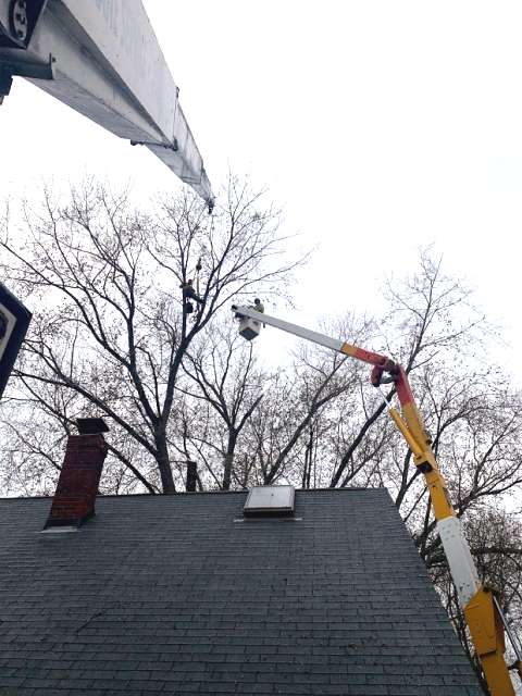 crane service