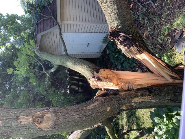 storm damage tree service