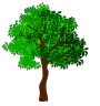 Tree Removal Service in Minneapolis